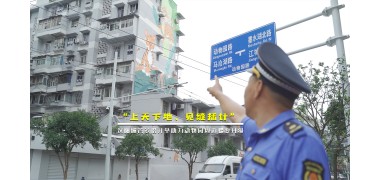 城管新風丨“上天下地、見縫插針”漢陽城管多措并舉助力動物園周邊蝶變升級 (7288播放)